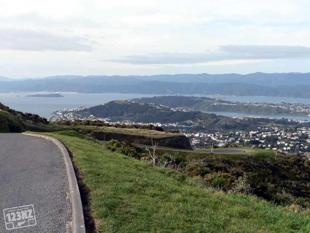 Uitzicht over Wellington (1)