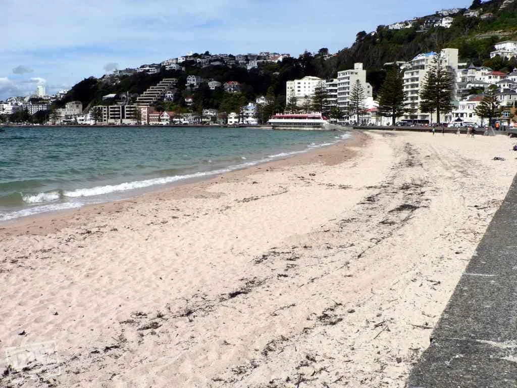 Strandjes in Wellington