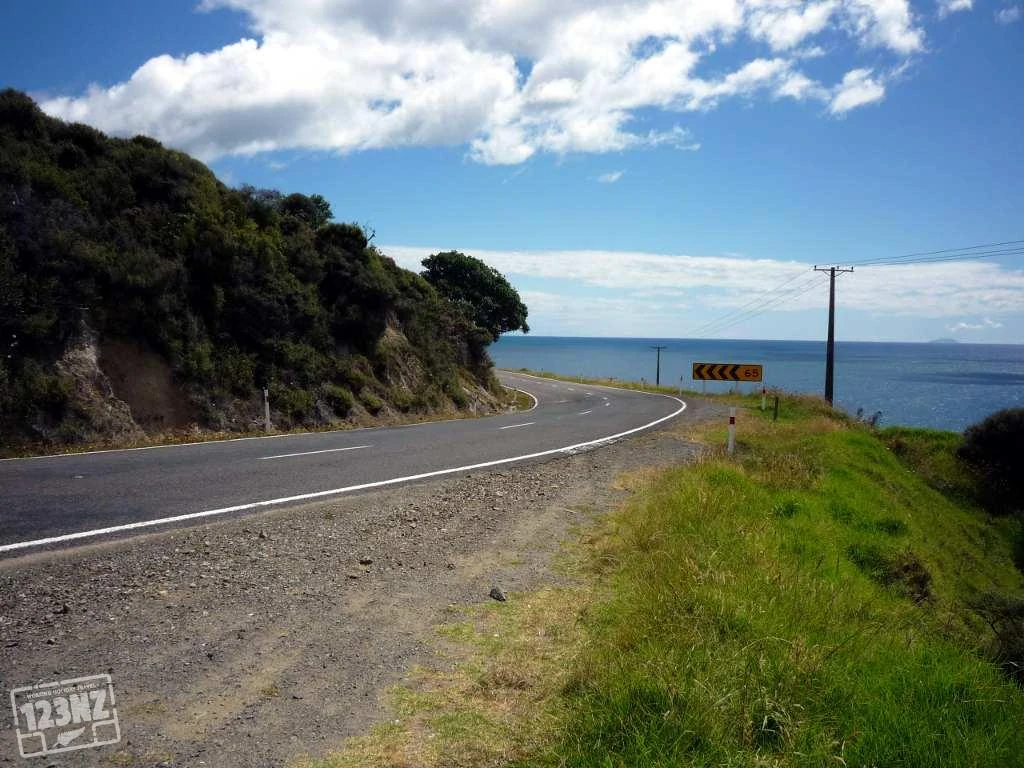 Typische weg in Nieuw-Zeeland