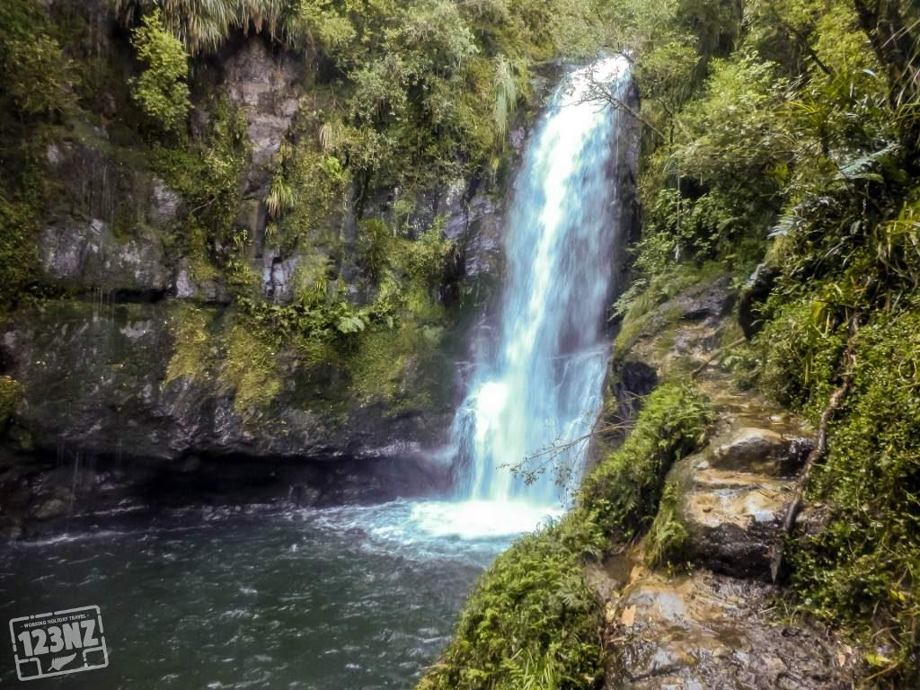 Te Rerekawau Falls - Kaiate Falls (2)