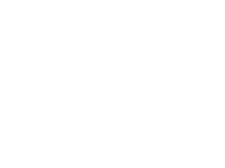 Digi.Geek logo
