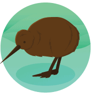 Kiwi vogel icoon